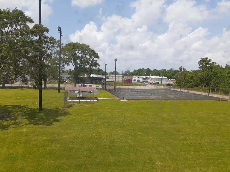 Harvey Green Space 768x576