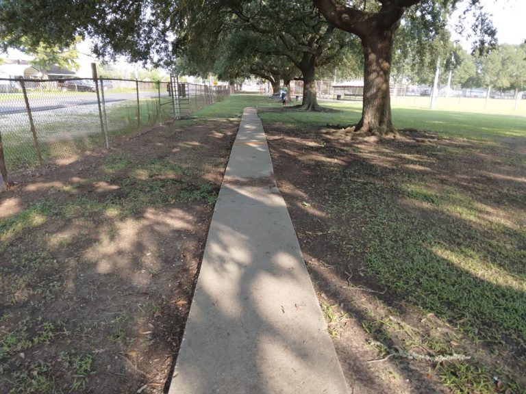 20210825 083738 768x576