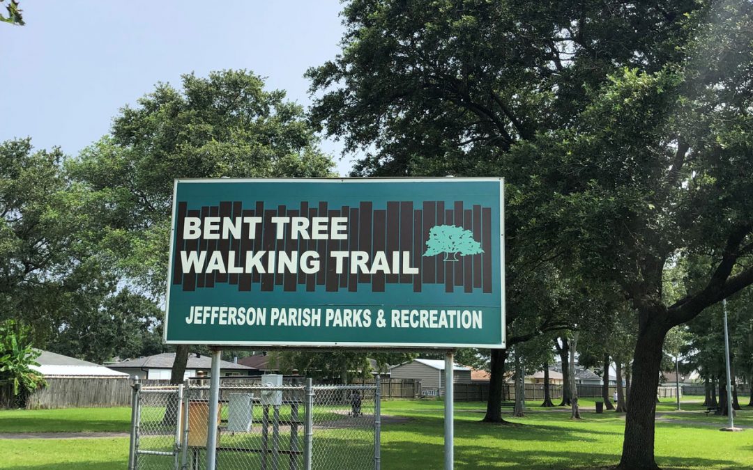 Bent Tree Walking Track