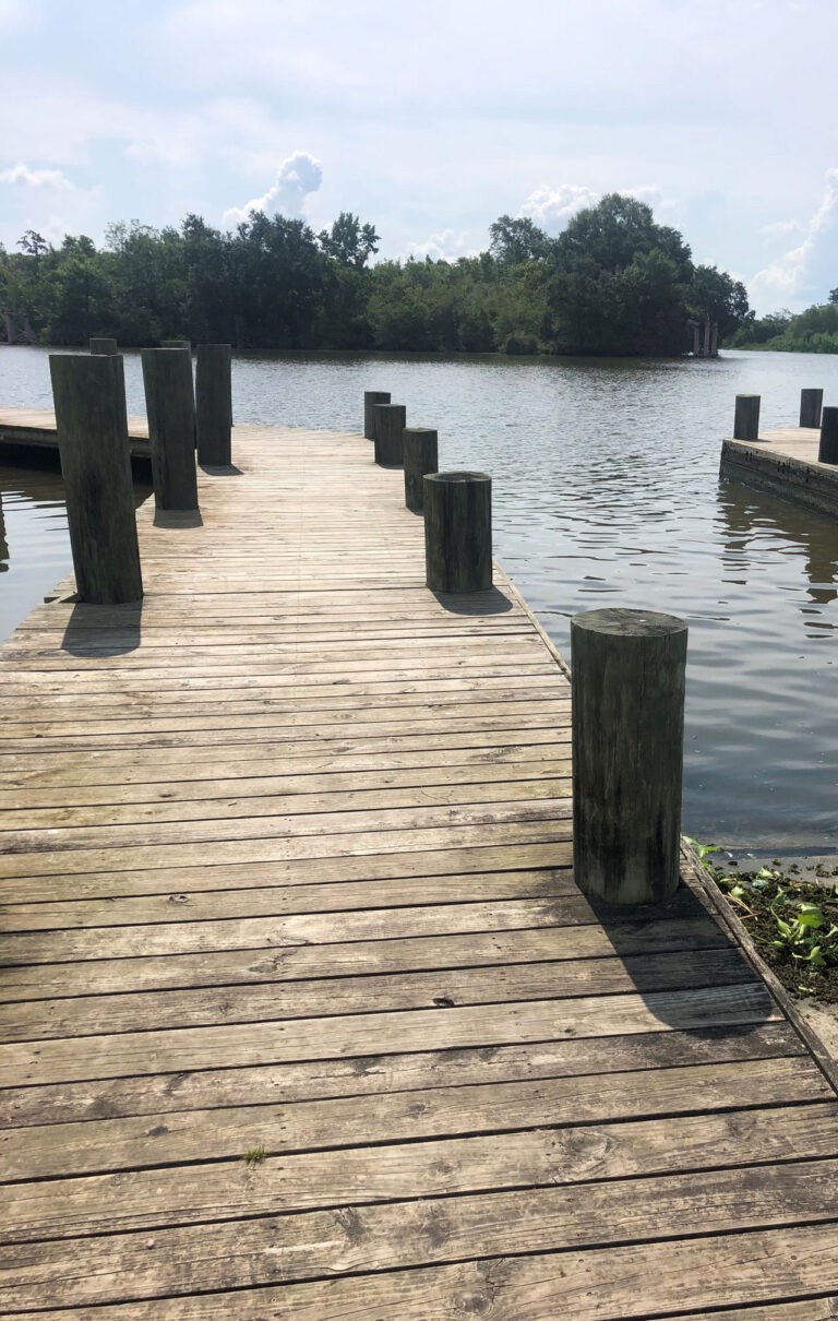 Glisson park 5 768x1210