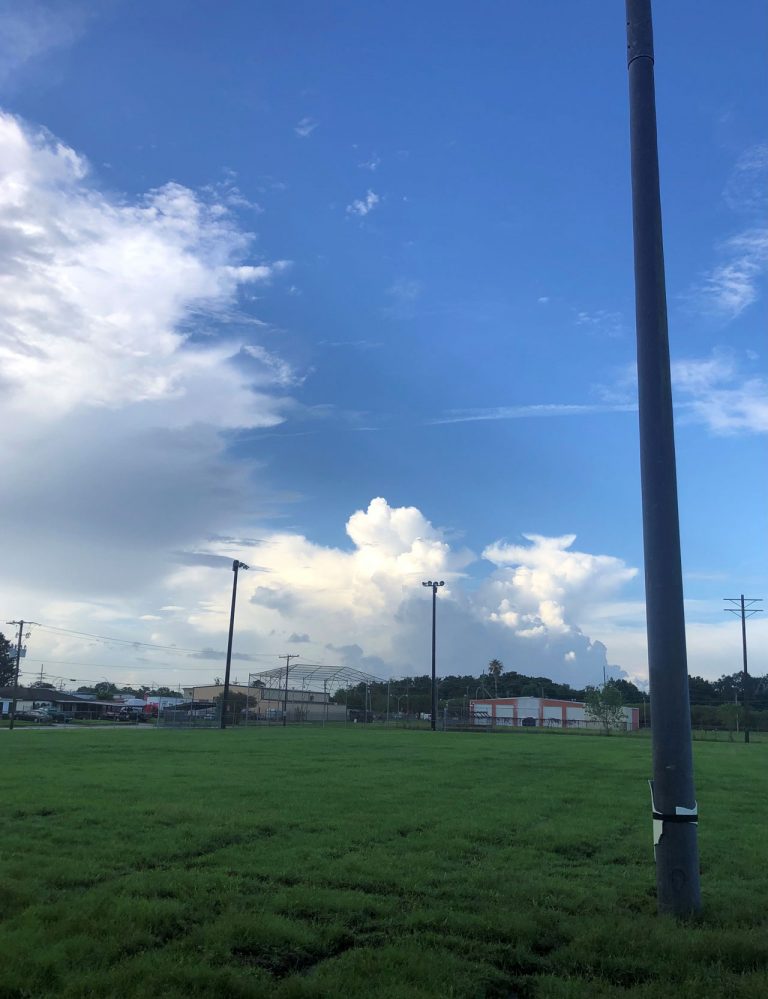 Harold McDonald 5 768x999