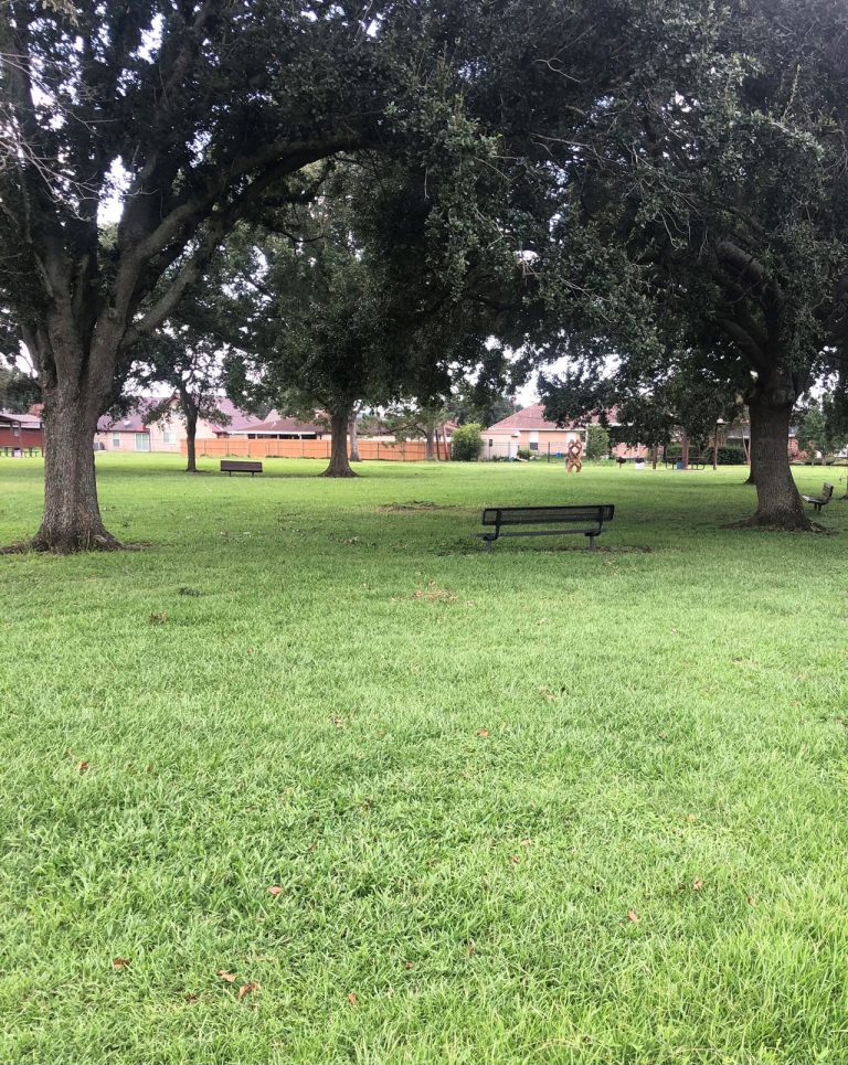 WOODLAND WEST 1 1 768x965