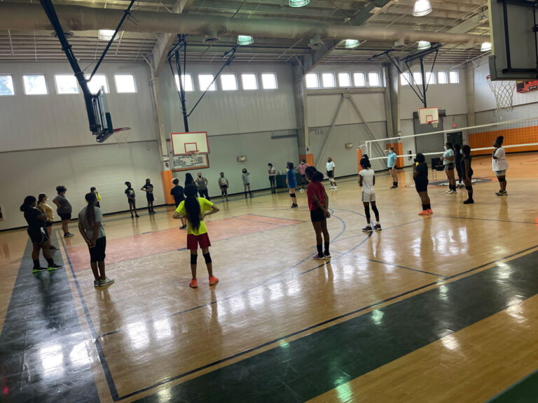 estelle vol1 768x576