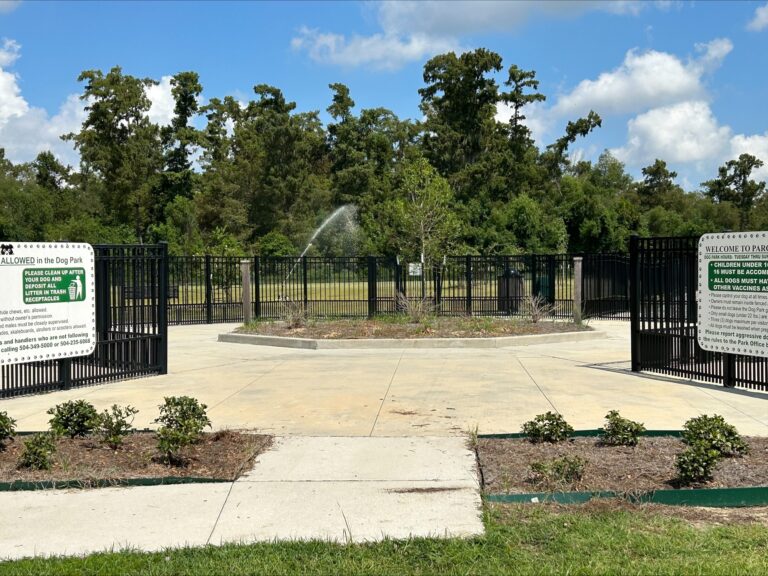 processed B645AA84 DBAE 434B A5AC A16E591D6DAD AB9C2D1E 8C28 4583 87ED 09B326A6EFCA 768x576