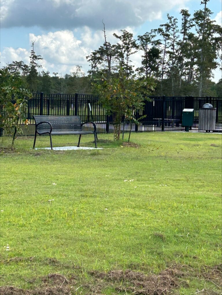 processed C76F65DE 8DE3 4317 B587 008AA7599302 07AD4608 2E29 49E3 AECD 0849A74C72E0 768x1023